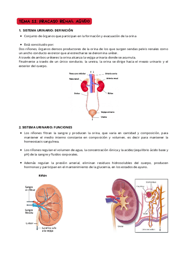 Miniatura del documento TEMA-11-FR.pdf