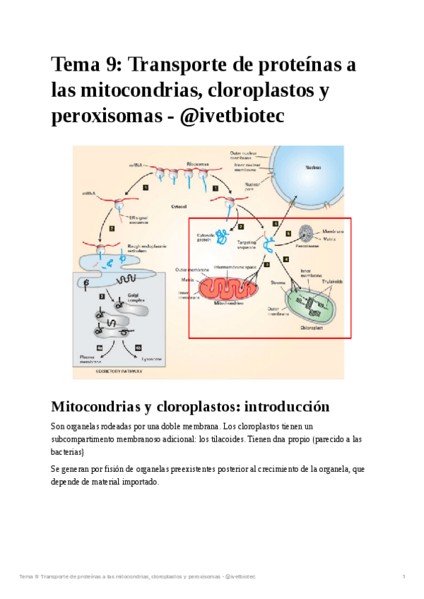 Miniatura del documento Tema-9Biologia-cellular.pdf