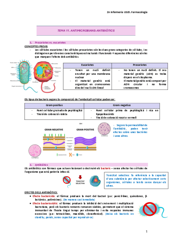 Miniatura del documento TEMA-11.antimicrobiants-antibiotics.pdf