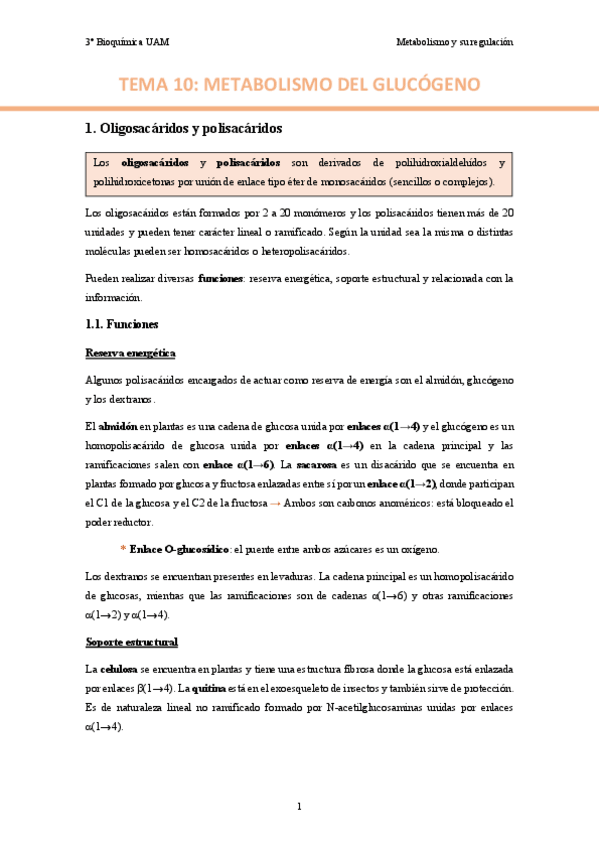 Miniatura del documento TEMA-10.-Metabolismo-del-glucogeno..pdf