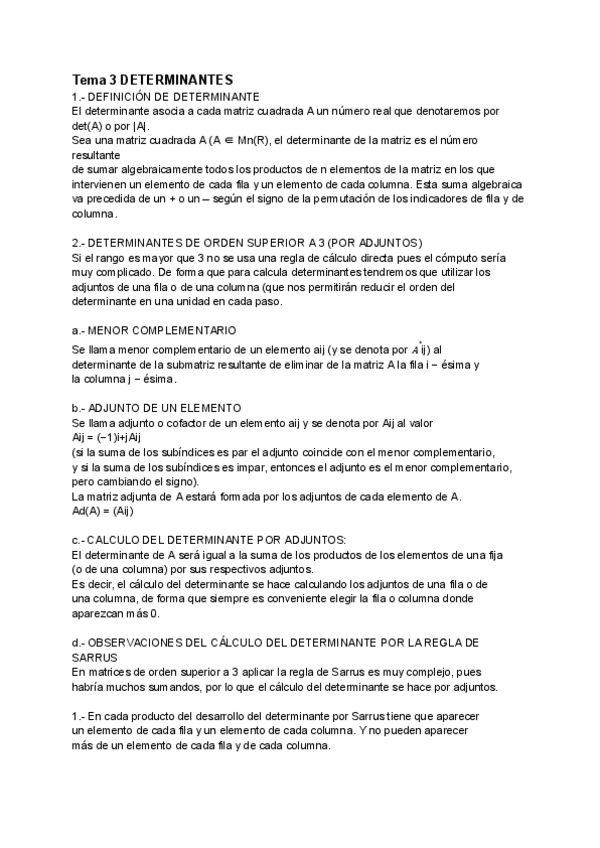 Miniatura del documento Tema-3-DETERMINANTES.pdf