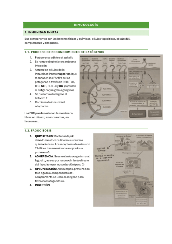 Miniatura del documento RESUMEN-TEMARIO-INMUNOLOGIA.pdf