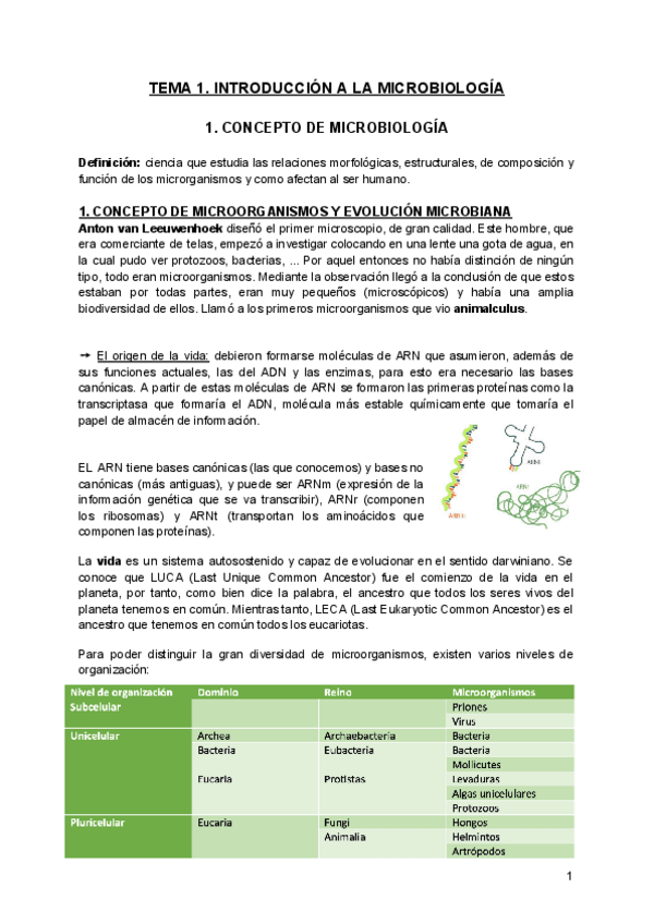 Miniatura del documento MICROBIOLOGIA-1o-ENFERMERIA-apuntes-enteros.pdf