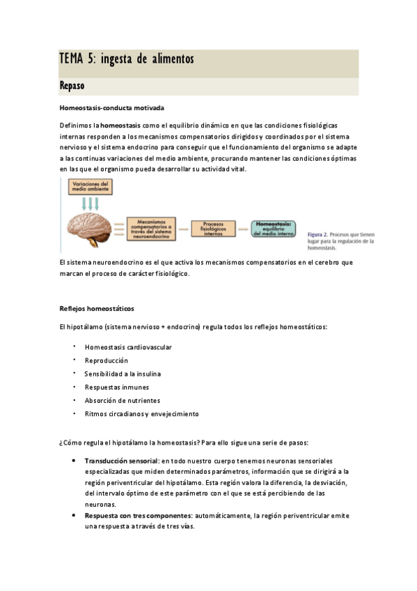 Miniatura del documento tema-5-fisio.pdf