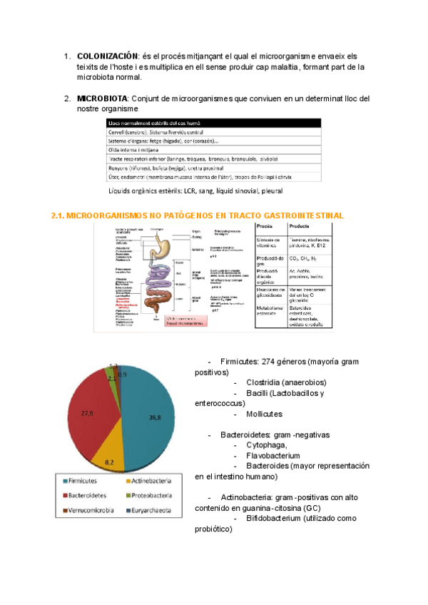 Miniatura del documento MICROBIOLOGIA-TEMA-2-APUNTES.pdf