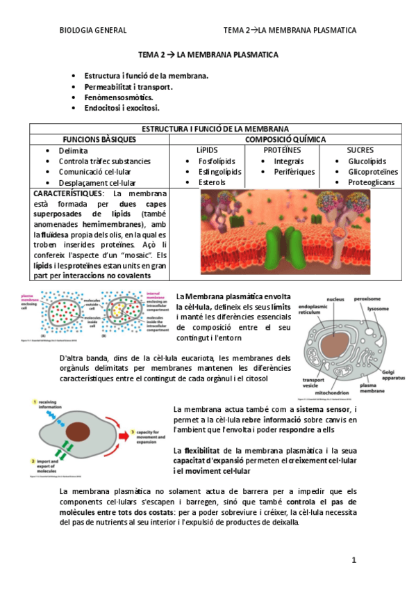 Miniatura del documento TEMA-2-biologia.pdf