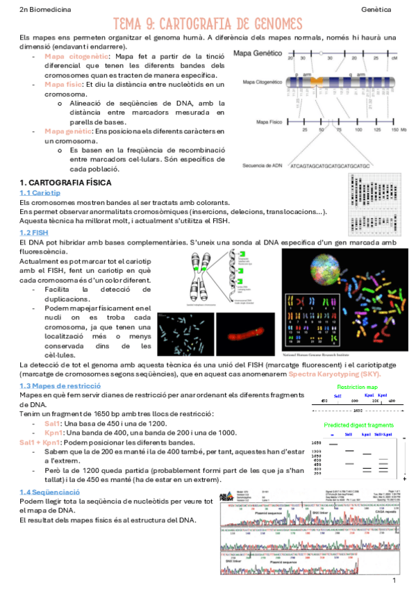 Miniatura del documento T9-Cartografia-de-genomes.pdf