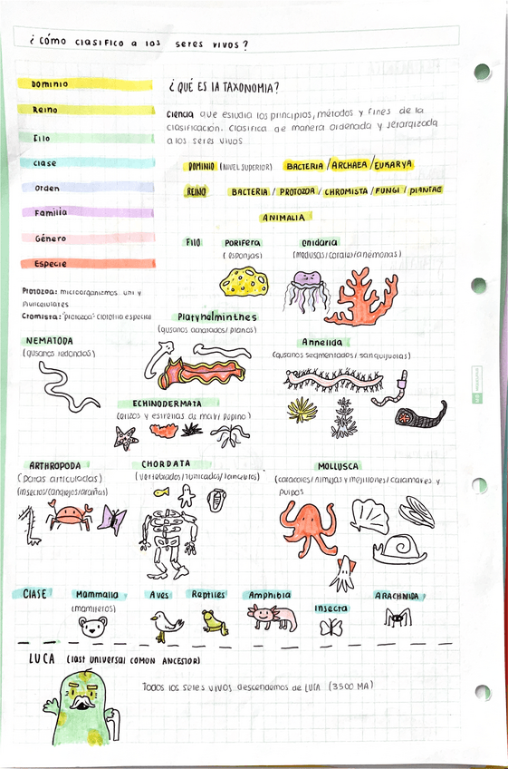 Miniatura del documento Ultimo-Tema-Zoologia.pdf