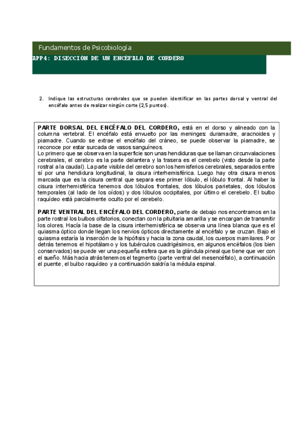 Miniatura del documento APP-ENCEFALO-DEL-CORDERO-ANO-23-24.pdf