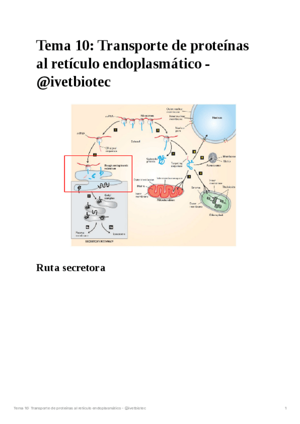 Miniatura del documento Tema-10Biologia-cellular.pdf