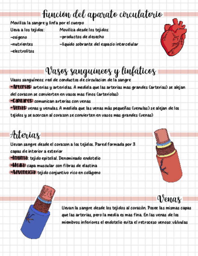 Miniatura del documento Examen-FSP-UT2-Y-UT3.pdf