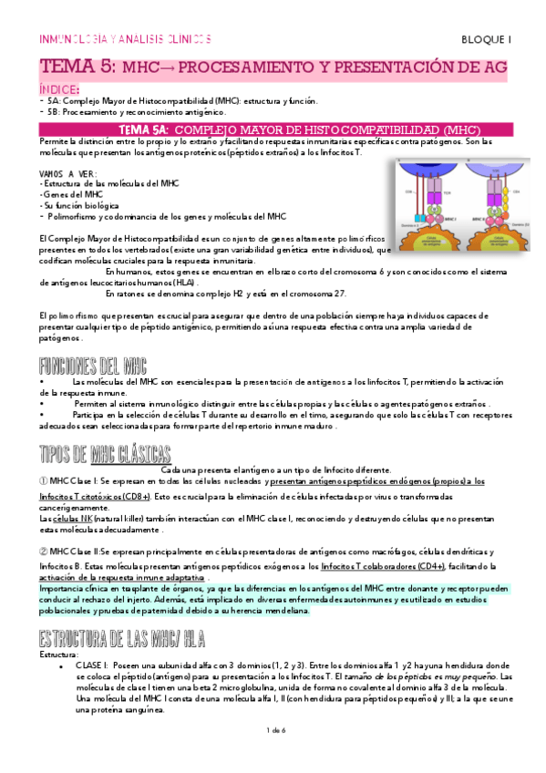 Miniatura del documento TEMA-5MHC-procesamiento-y-presentacion-de-antigenos.pdf