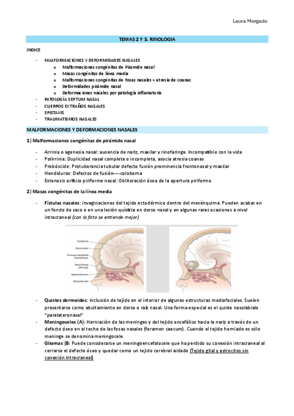 Miniatura del documento TEMAS-2-Y-3.-RINOLOGIA.pdf