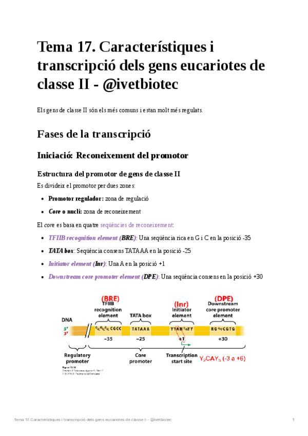 Miniatura del documento Tema-17Genetica-molecular.pdf