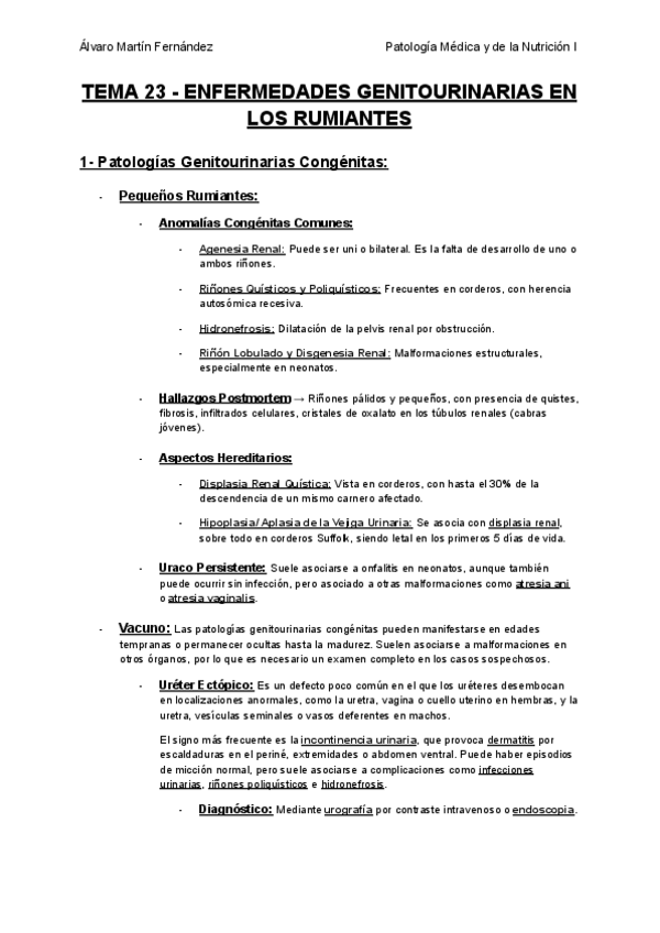 Miniatura del documento TEMA-23-ENFERMEDADES-GENITOURINARIAS-EN-LOS-RUMIANTES.pdf
