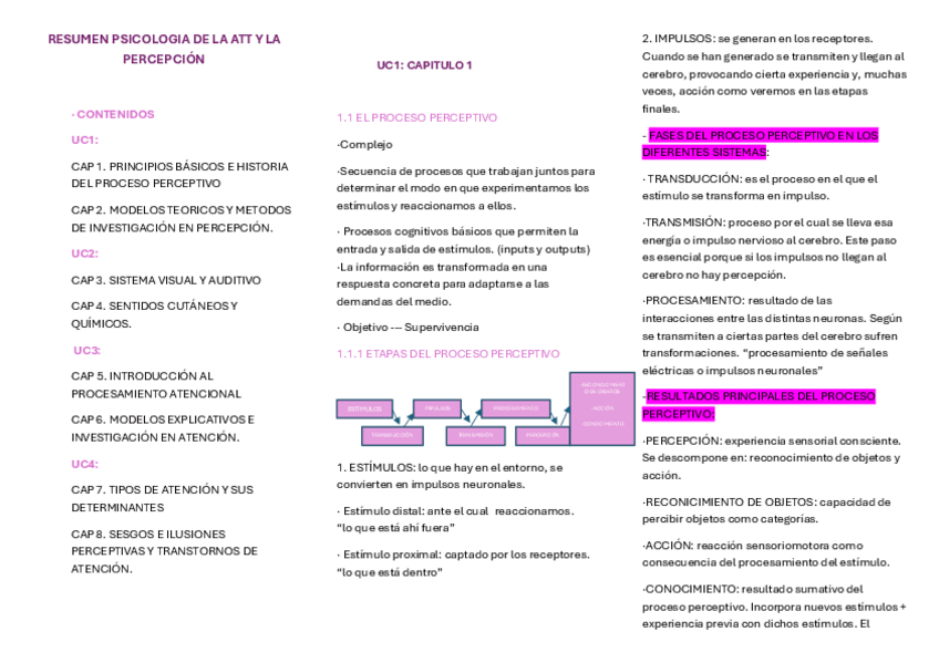 Miniatura del documento UC-1-PSICOLOGIA-DE-LA-ATENCION-Y-LA-PERCEPCION.pdf