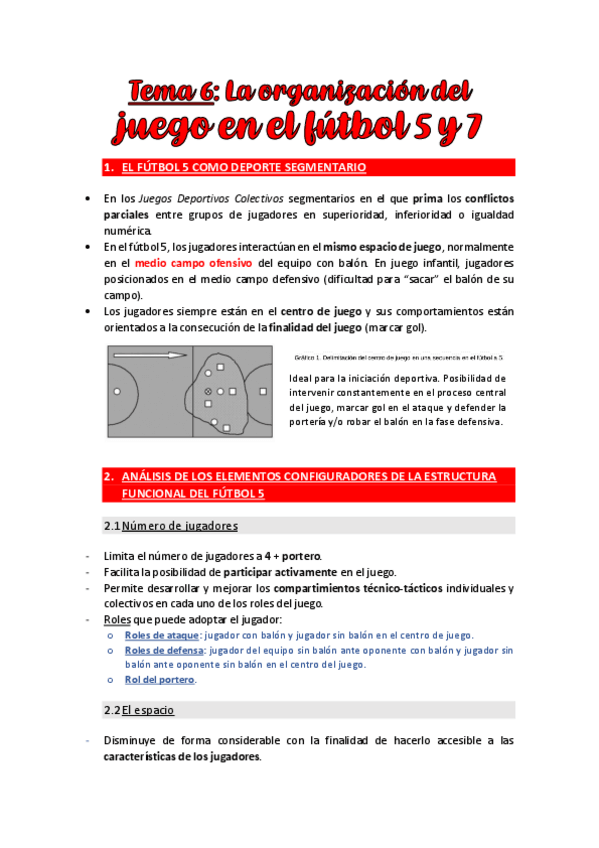 Miniatura del documento TEMA-6.-LA-ORGANIZACION-DEL-JUEGO-EN-EL-FUTBOL-5-Y-7.pdf