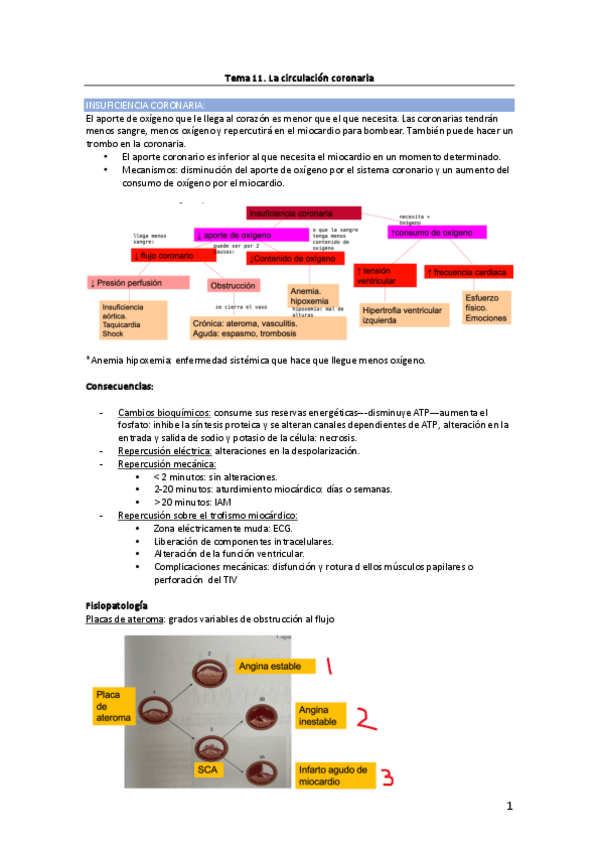Miniatura del documento Tema-11.-Circulacion-coronaria.pdf