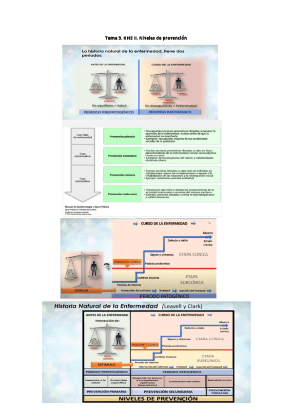 Miniatura del documento 6.-Tema-3.-HNE-II.-Niveles-de-prevencion.pdf