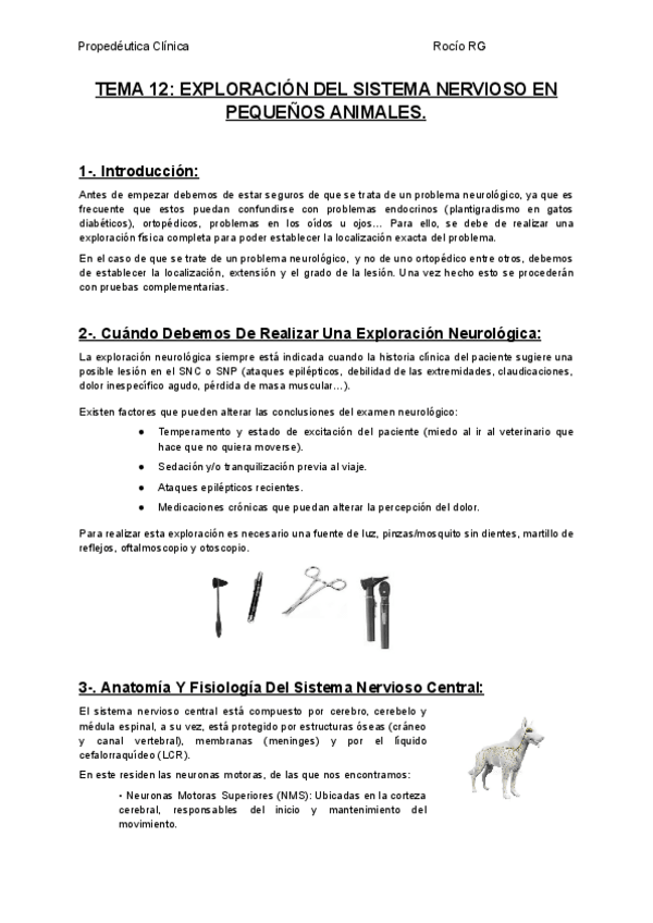 Miniatura del documento TEMA-12-EXPLORACION-DEL-SISTEMA-NERVIOSO-EN-PEQUENOS-ANIMALES.pdf
