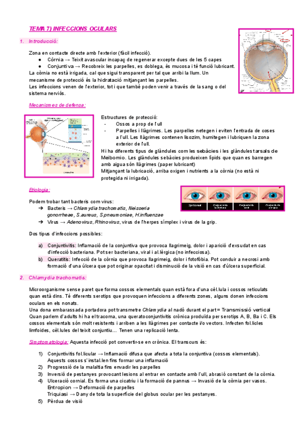 Miniatura del documento TEMA-7-INFECCIONS-OCULARS.pdf