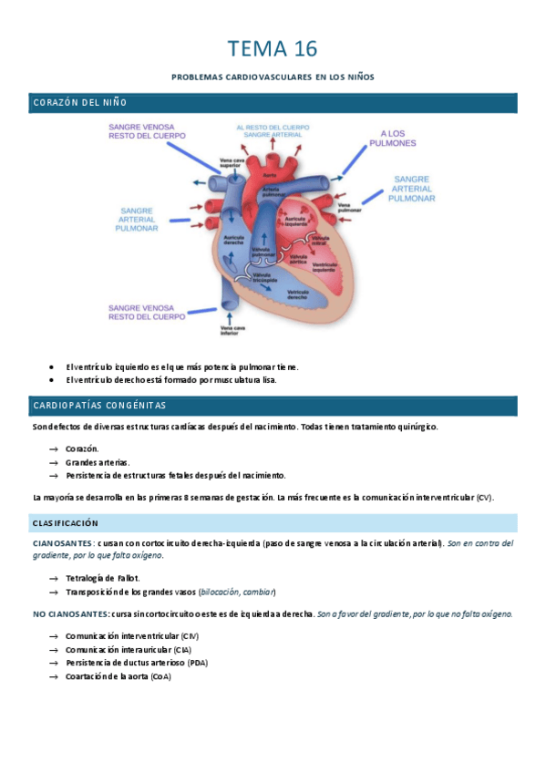 Miniatura del documento Tema-16.pdf