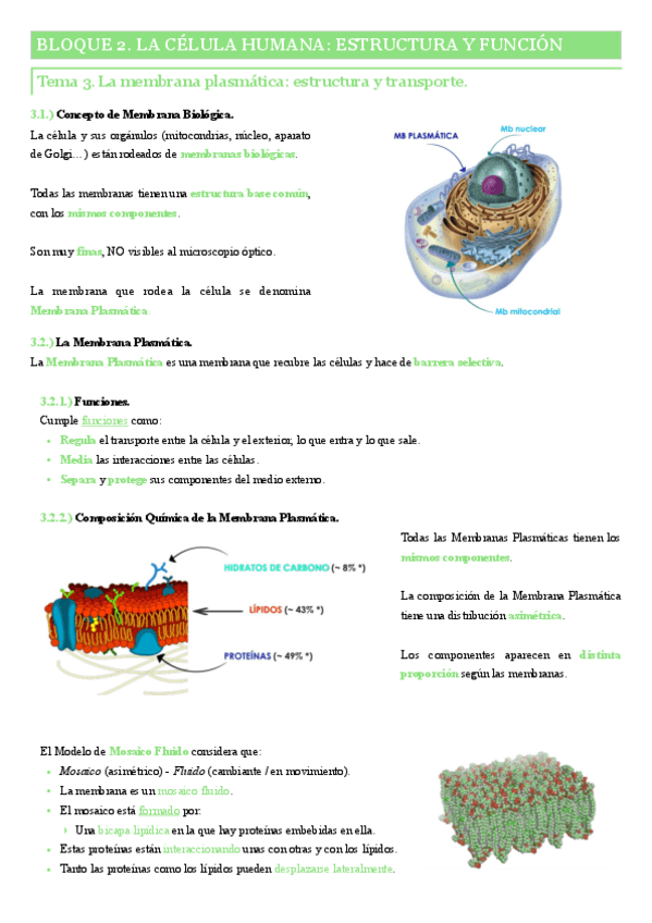 Miniatura del documento Tema-3.-La-membrana-plasmatica-estructura-y-transporte.pdf