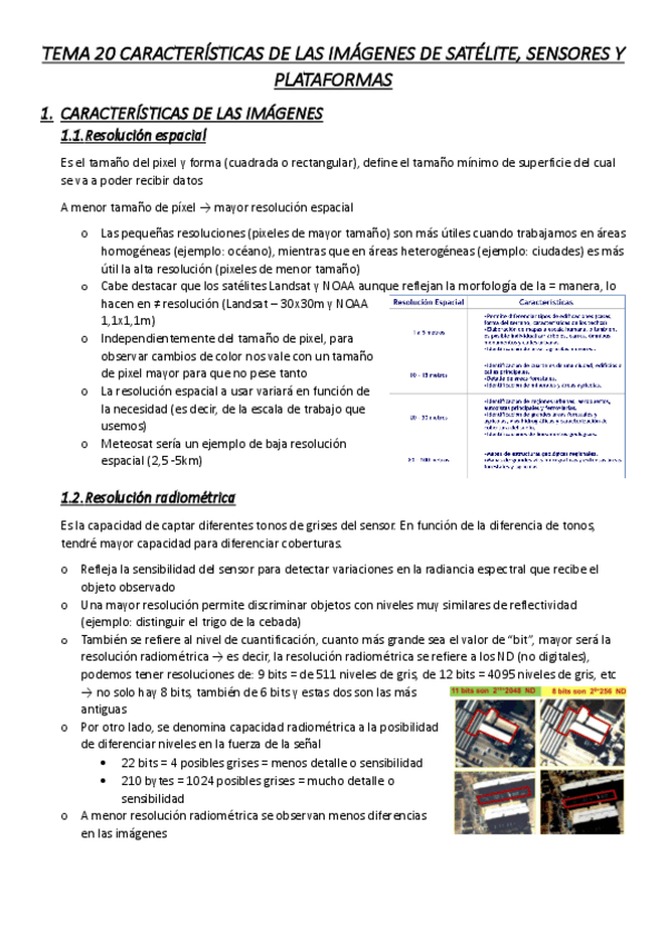 Miniatura del documento TEMA-20-CARACTERISTICAS-DE-LAS-IMAGENES-DE-SATELITE.pdf