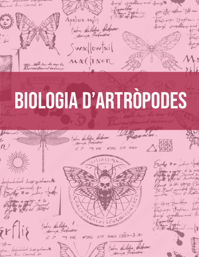 Miniatura del documento ARTROPODES-TEMES-10-12-Ana-Vilches.pdf
