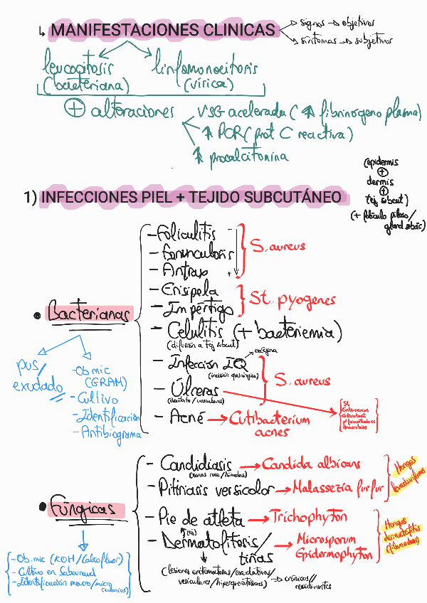 Miniatura del documento AGUILERA-INFECCION--DIAGNOSTICO.pdf