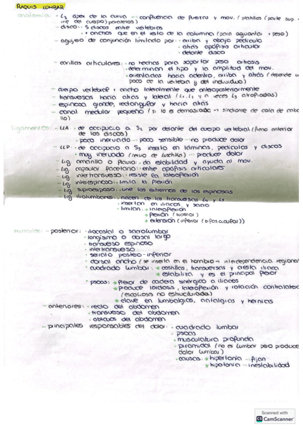 Miniatura del documento Terapia-manual-lumbares.pdf