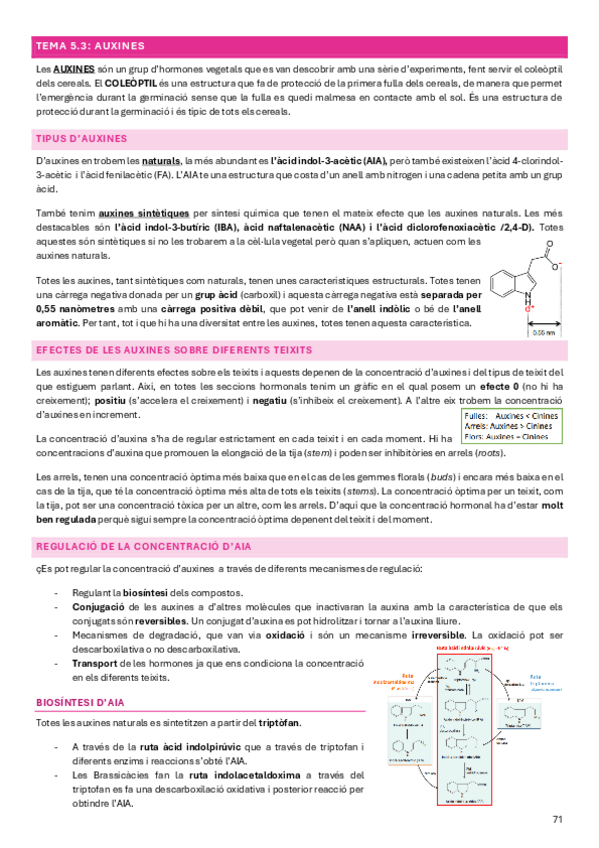 Miniatura del documento Fisiologia-Vegetal-Tema-5.3.pdf