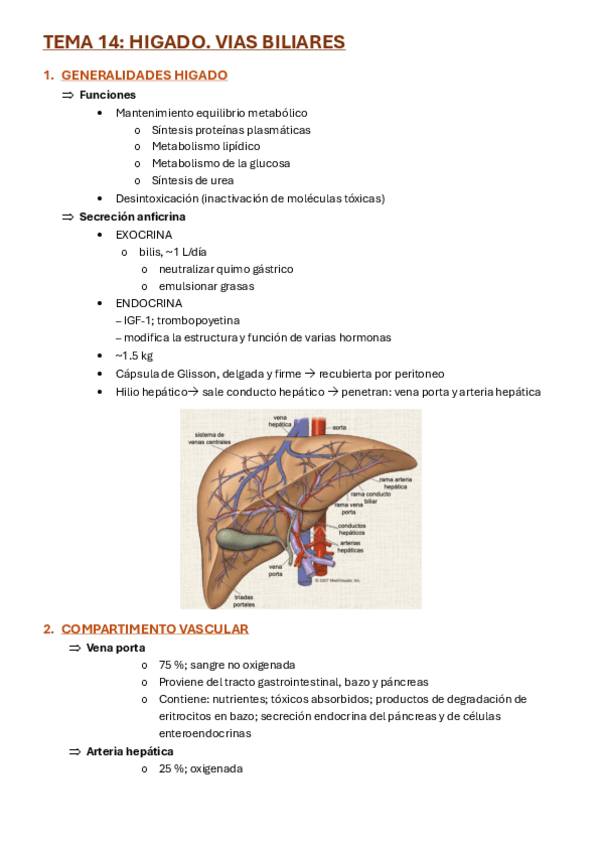 Miniatura del documento TEMA-14-HIGADO-histo.pdf