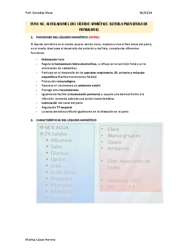 Miniatura del documento tema-46-gine.pdf