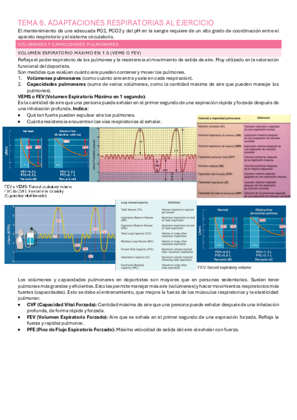 Miniatura del documento TEMA-6-RESPI.pdf