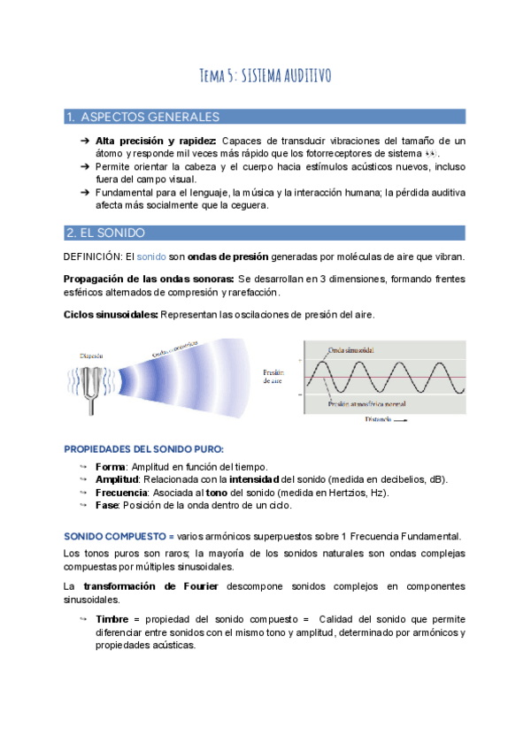 Miniatura del documento Tema-5-Sistema-auditivo.pdf