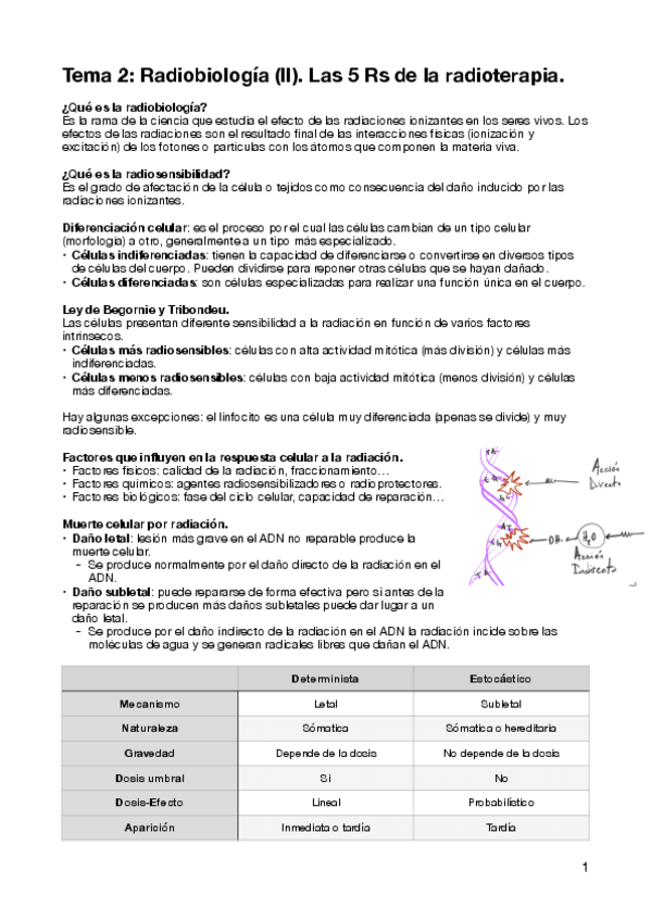 Miniatura del documento T2-Dosi.pdf