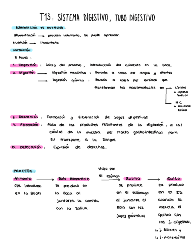 Miniatura del documento Tema-13-P.1.pdf