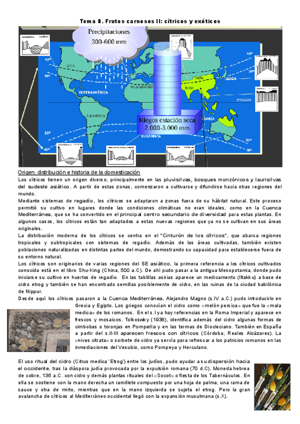 Miniatura del documento Botanica.-Tema-8.pdf