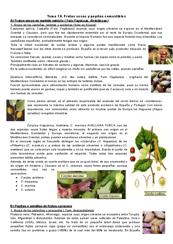 Miniatura del documento Botanica-Tema-10.pdf