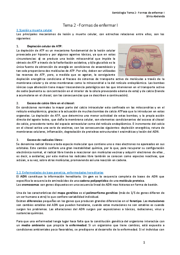 Miniatura del documento TEMA-2-FROMAS-DE-ENFEMRMAR-I.pdf