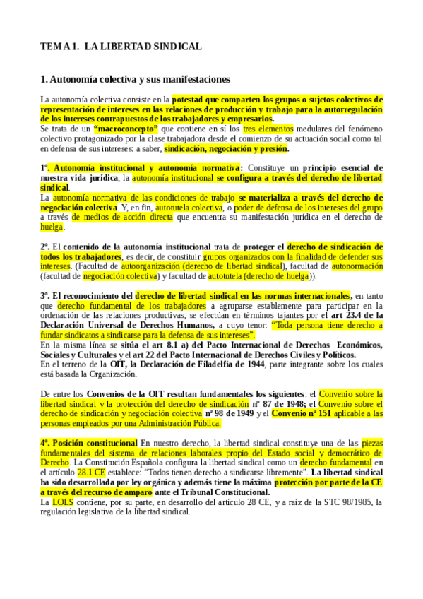 Miniatura del documento apuntes sindical.pdf