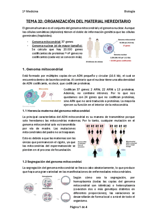 Miniatura del documento TEMA-32-Biologia.pdf