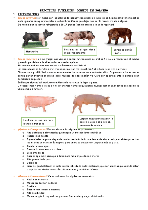 Miniatura del documento Practicas-cerdos.pdf