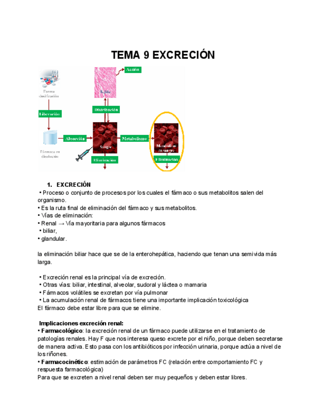 Miniatura del documento TEMA-9-EXCRECION-1.pdf