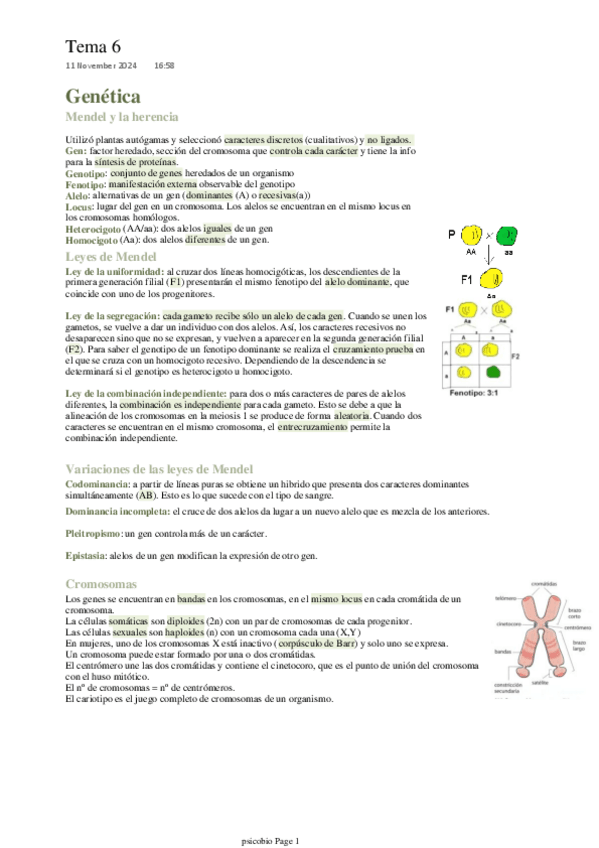 Miniatura del documento Tema-6.pdf