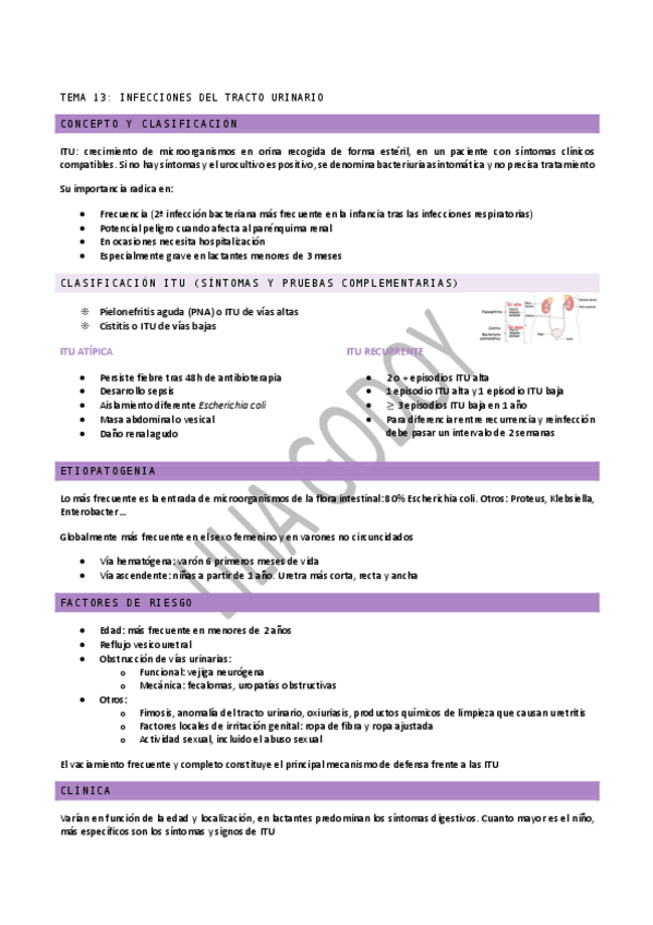 Miniatura del documento TEMA-13.pdf