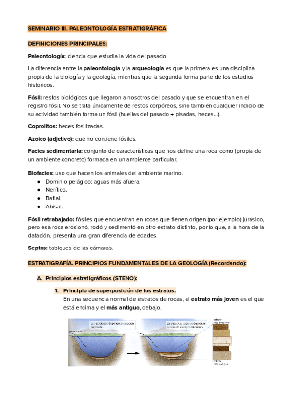 Miniatura del documento Seminario-III.-Paleontologia-Estratigrafica-Geologia-UDC.pdf