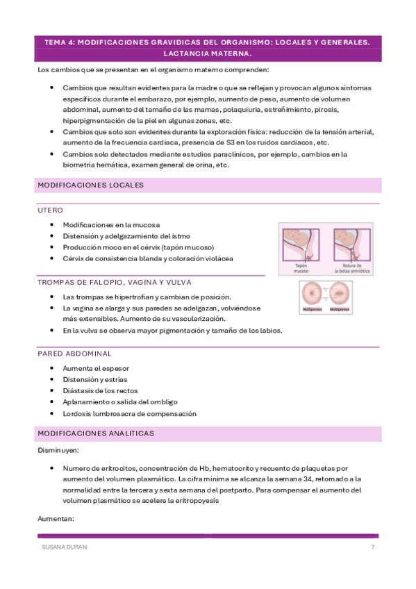 Miniatura del documento DIapositivas-tema-4.pdf