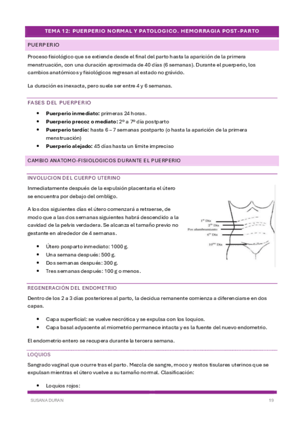 Miniatura del documento DIapositivas-tema-12.pdf